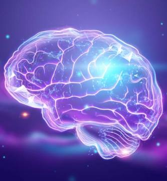 Psicología Cognitiva